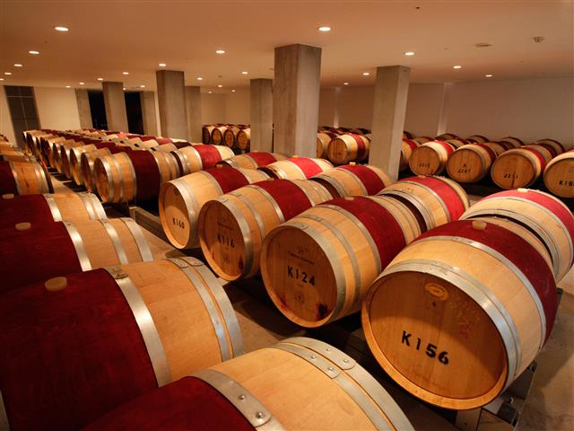 シャトー・メルシャン 勝沼ワイナリー地下セラー（見学者のみ入場可）