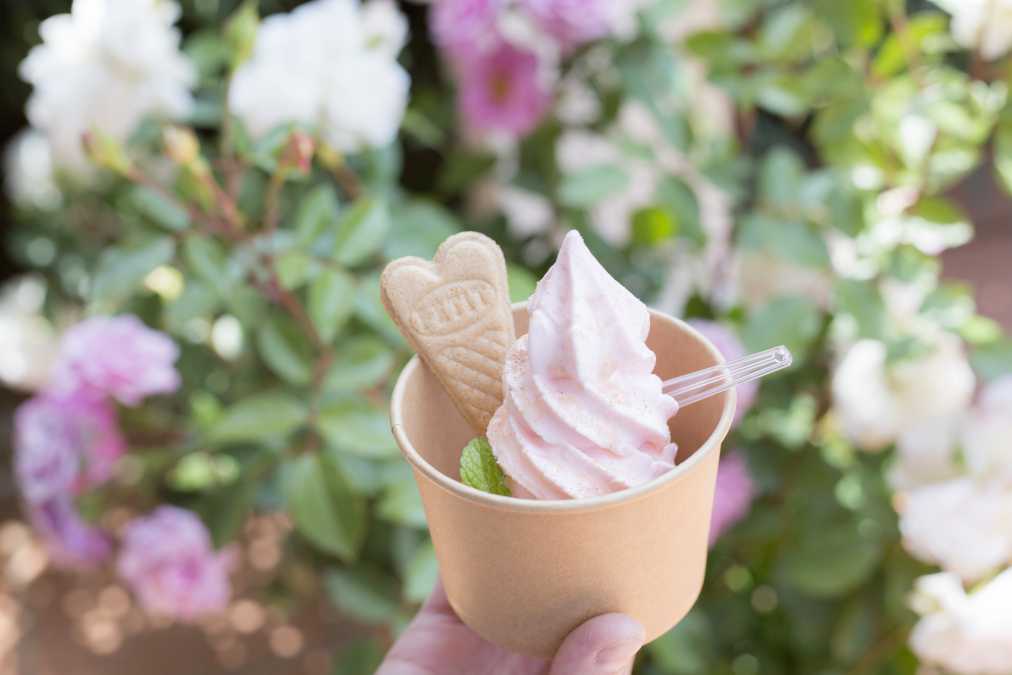 バラソフトクリーム（カップ）　486円