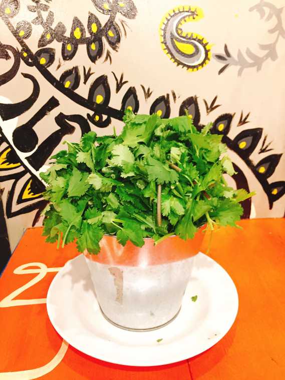 「バケツパクチー」540円