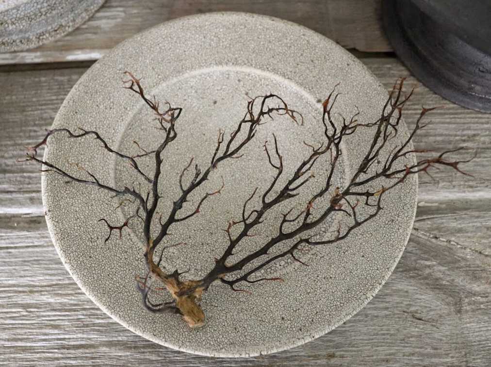 rim plate hibi M　4500円