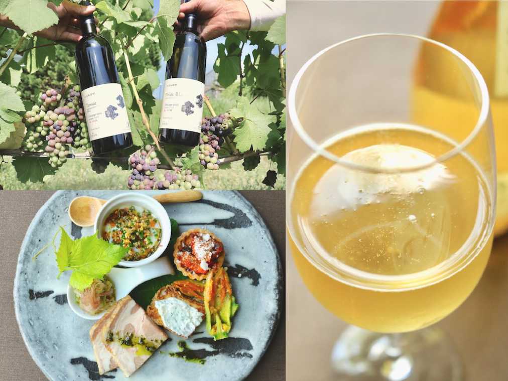 無料試飲に限定ランチも！京都「丹波ワイン」でオトナの社会見学デート