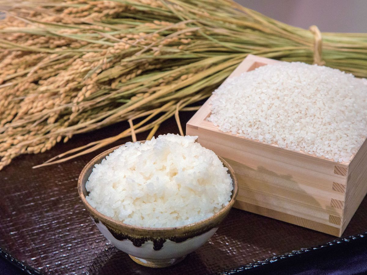 全米（コメ）至上最高の注目米が当たる！「るるぶモール」オープン記念Twitterキャンペーン