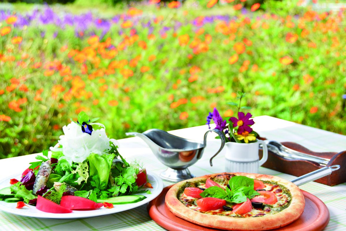 イワシとハーブのサラダ972円～、ジェノベーゼピザ1188円～