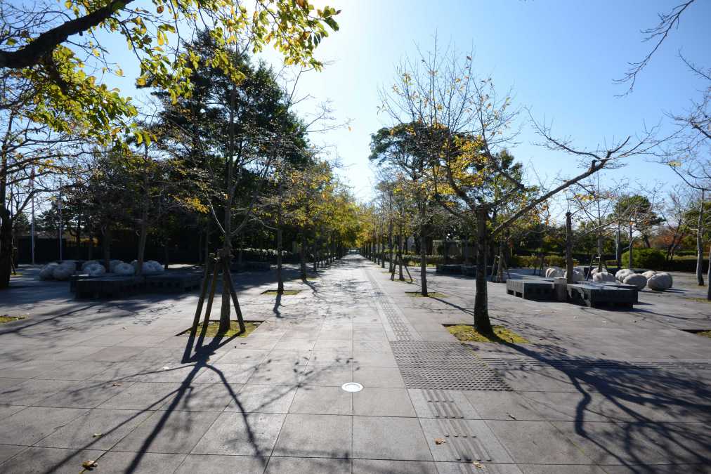 西川勝人＜ほおずき・コブシの森＞