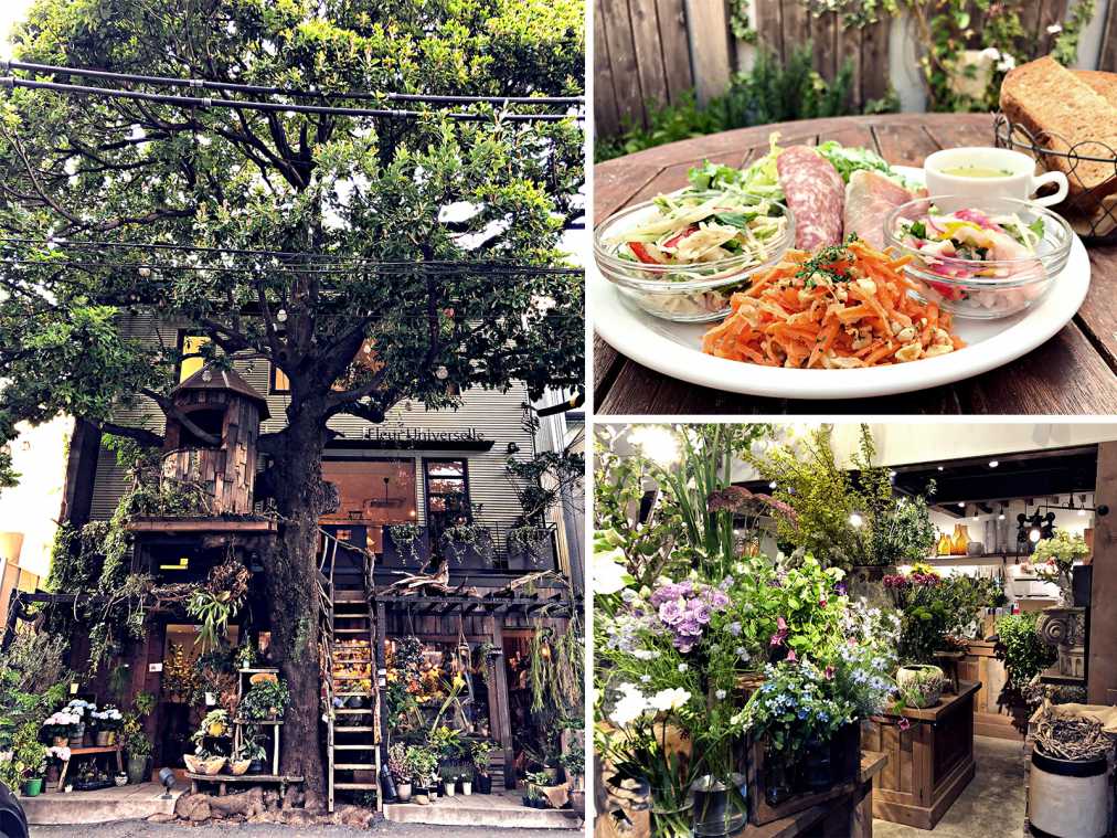 都会で手軽に自然を感じる！草花に囲まれたシンボルツリーが目印のカフェ