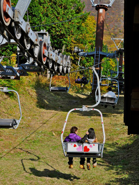 緩やかな稜線が美しい大山。秋には真っ赤に色づく