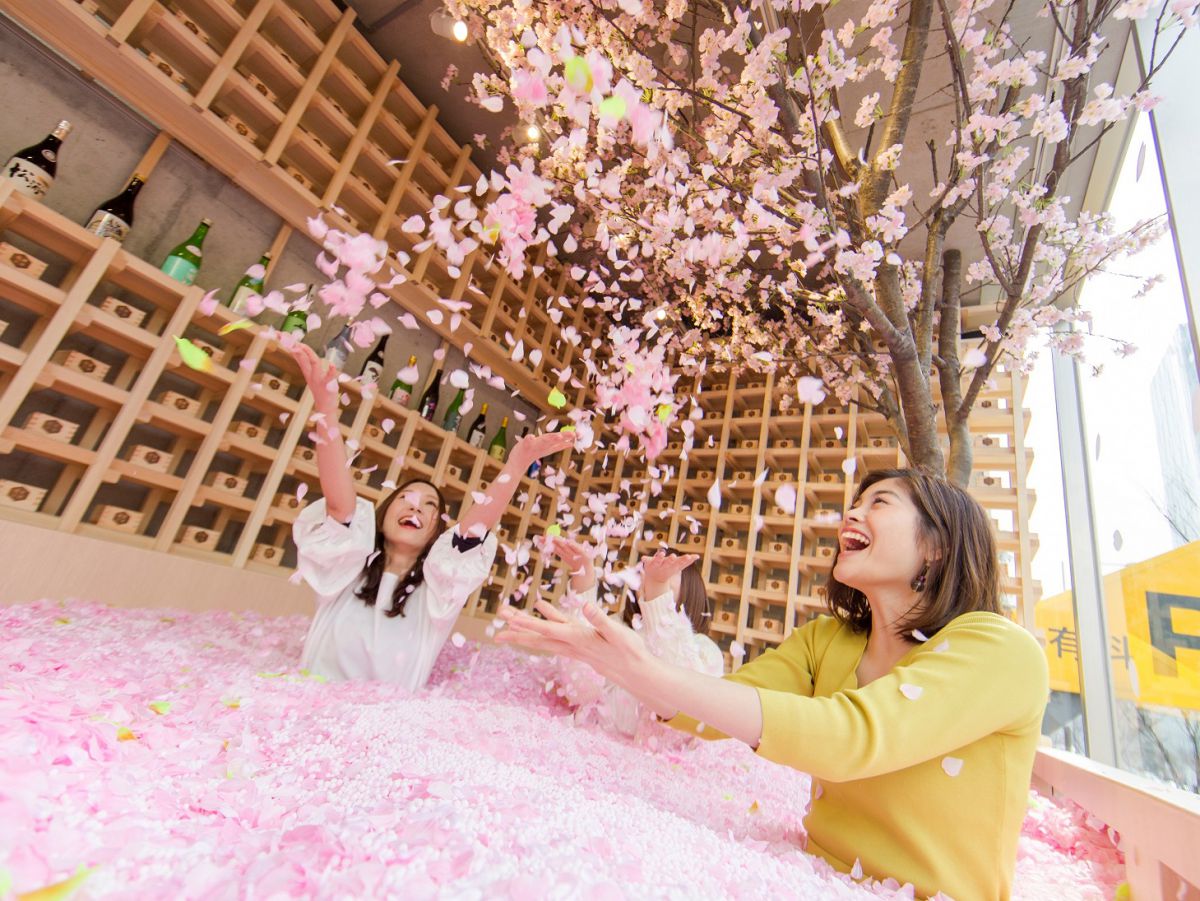 表参道に120万枚の花びらに埋もれる「サクラチルバーby佐賀」が期間限定オープン!
