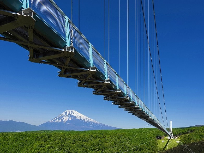 絶景吊り橋“三島スカイウォーク”といちご狩りのお得なセット券を発売中