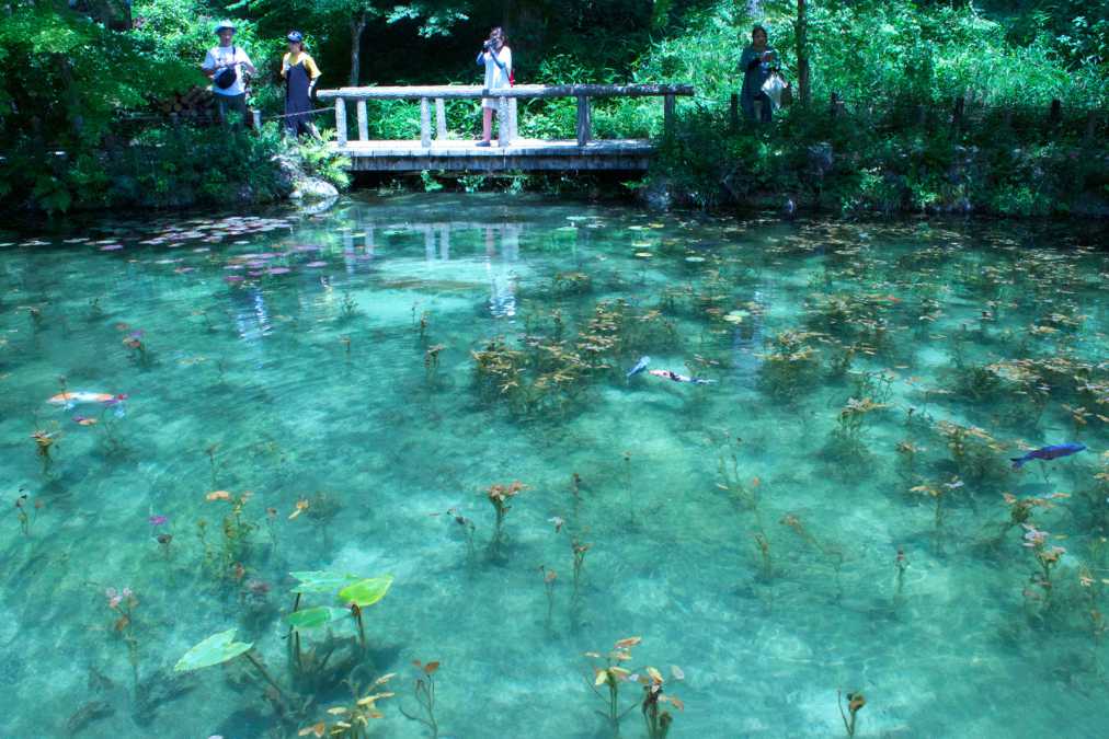 名画を彷彿させる話題の絶景からスタート