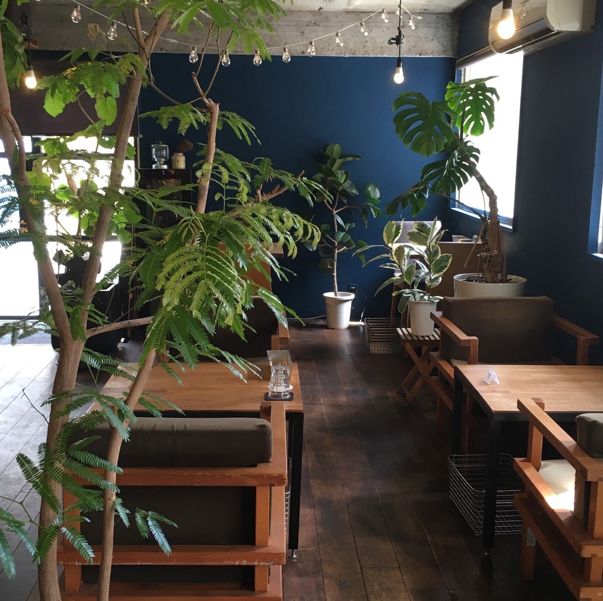 写真提供：cafe-hakuta