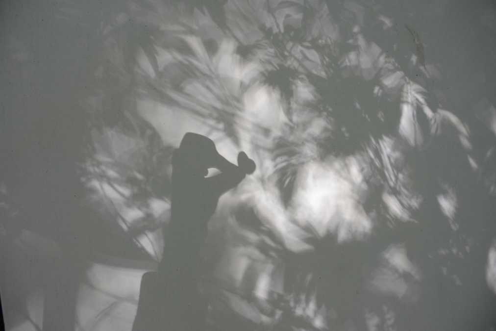 カサグランデ＆リンターラ＜森の観測所＞