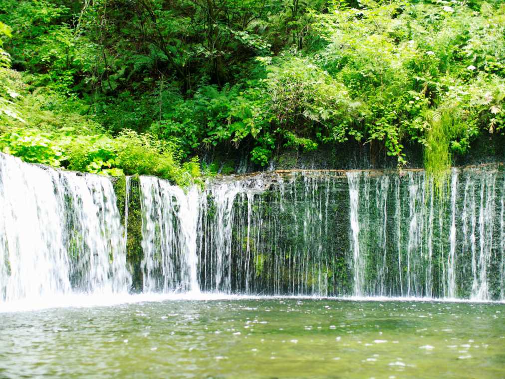 サンドイッチを食べて、ハンモックでお昼寝…北軽井沢“高原気分”満喫ドライブコース