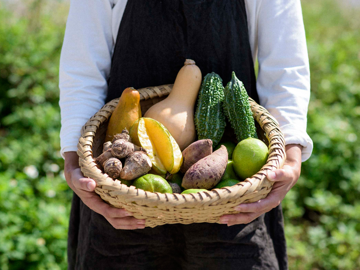 おいしい、沖縄。癒しの島で、いま注目のグルメ、カフェをめぐる旅