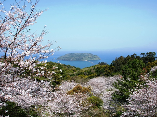 【2025年最新】鹿児島県のお花見スポット8選 4月上旬までが見ごろ？ 家族で行きたい桜スポット