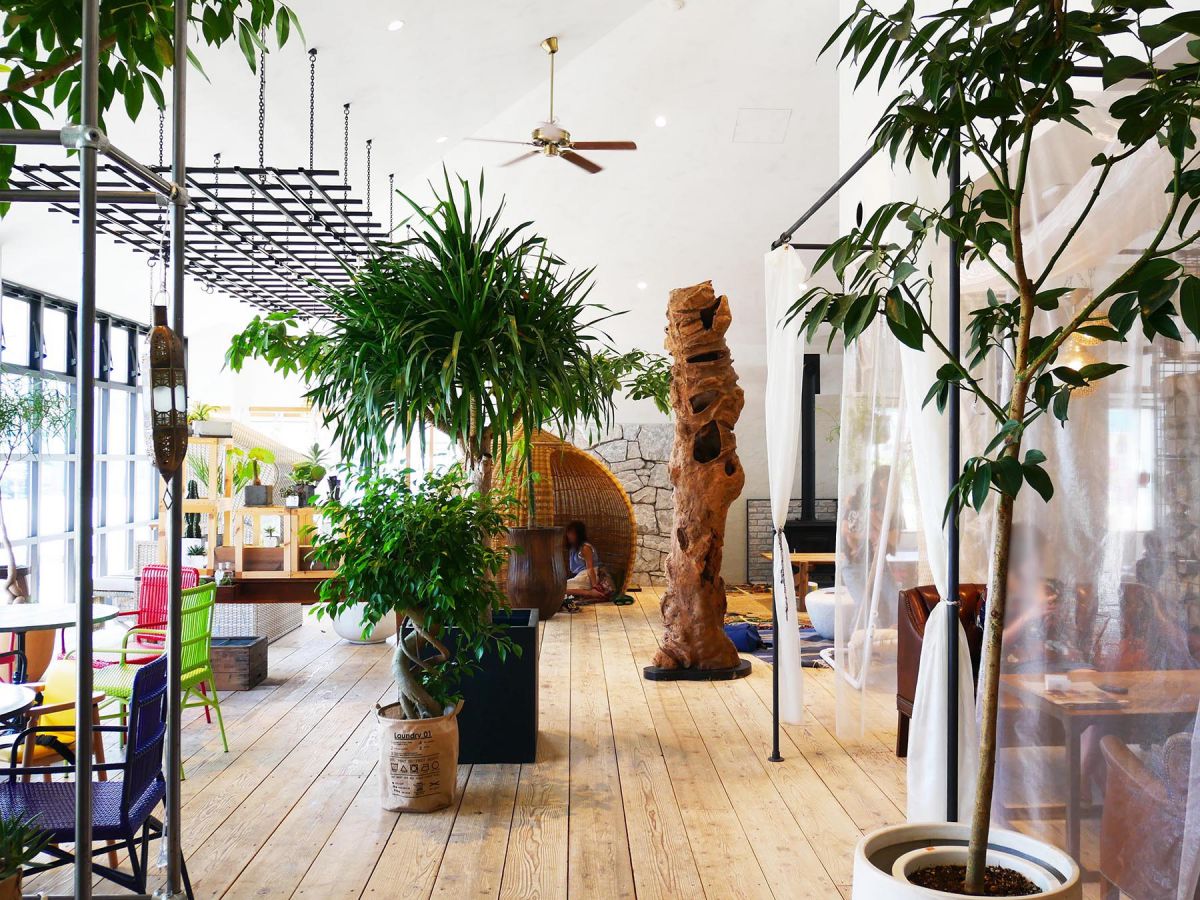 金沢郊外にボタニカル空間？南国リゾートみたいなのんびりカフェ