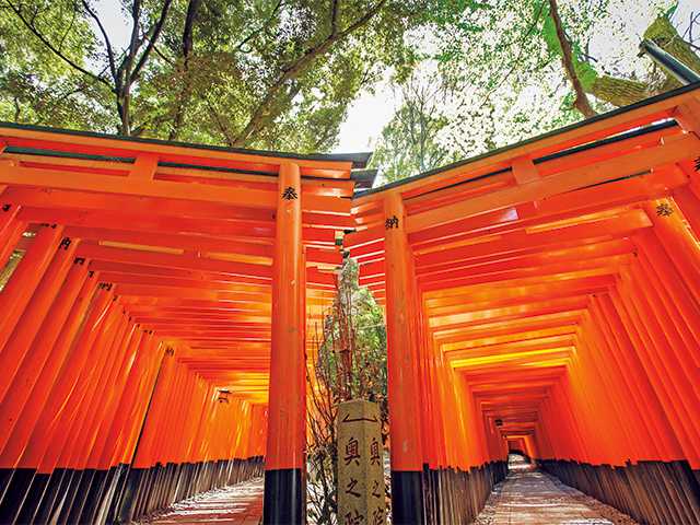 圧巻の千本鳥居に感動！水路のほとりのレトロな街並みが人気の伏見観光コース