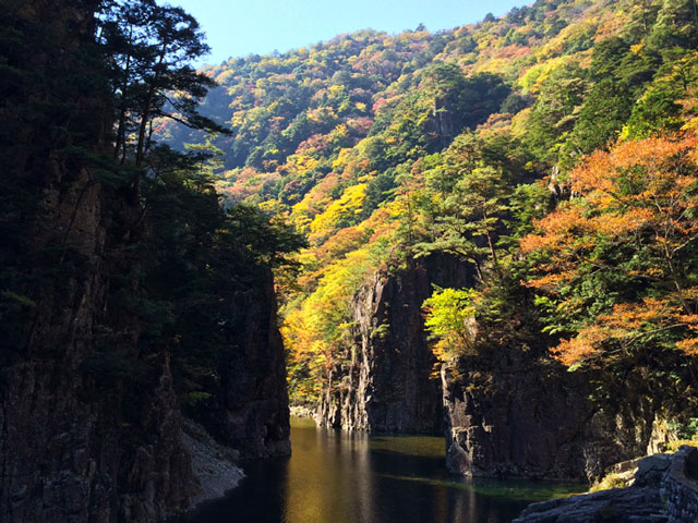広島県でおすすめの紅葉名所～見頃などの2025年情報～