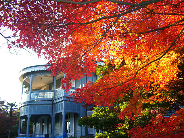 愛知県でおすすめの紅葉名所～見頃やライトアップなどの2025年情報～