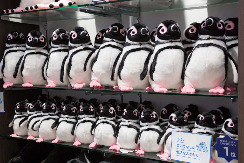 マゼランペンギンのぬいぐるみSSサイズ1500円、Mサイズ3090円