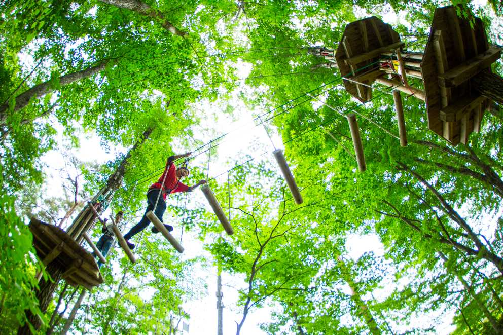 樹上での「スウィートグラス・アドベンチャー」は1人3100円(要予約)