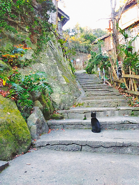 尾道猫。美術館そばの「猫の細道」にて