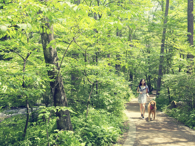 マストで行きたいスポットだけ！初めての軽井沢王道1日プラン