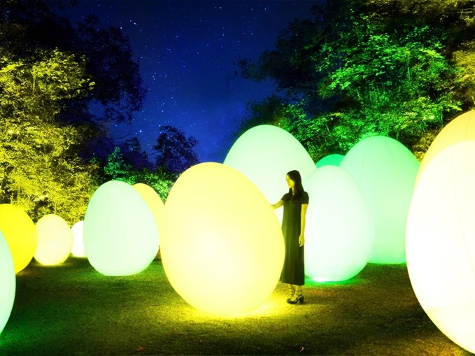 呼応する、たちつづけるものたちと森 / Resisting and Resonating Ovoids and Forest  teamLab, 2018, Interactive Digital Installation, Endless, Sound: Hideaki Takahashi