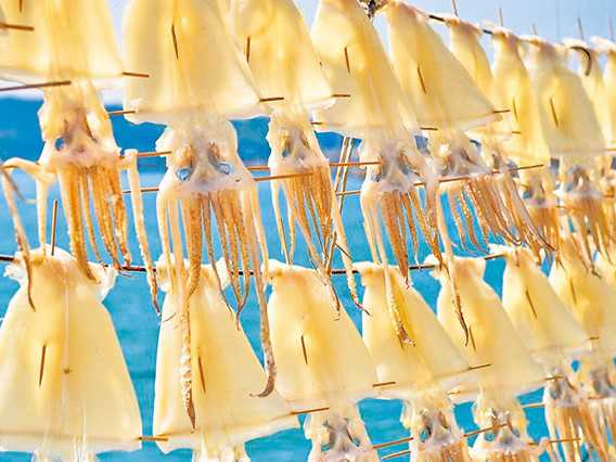 呼子の朝市で玄界灘の海の幸食い倒れ！唐津の城下町ぐるりプラン