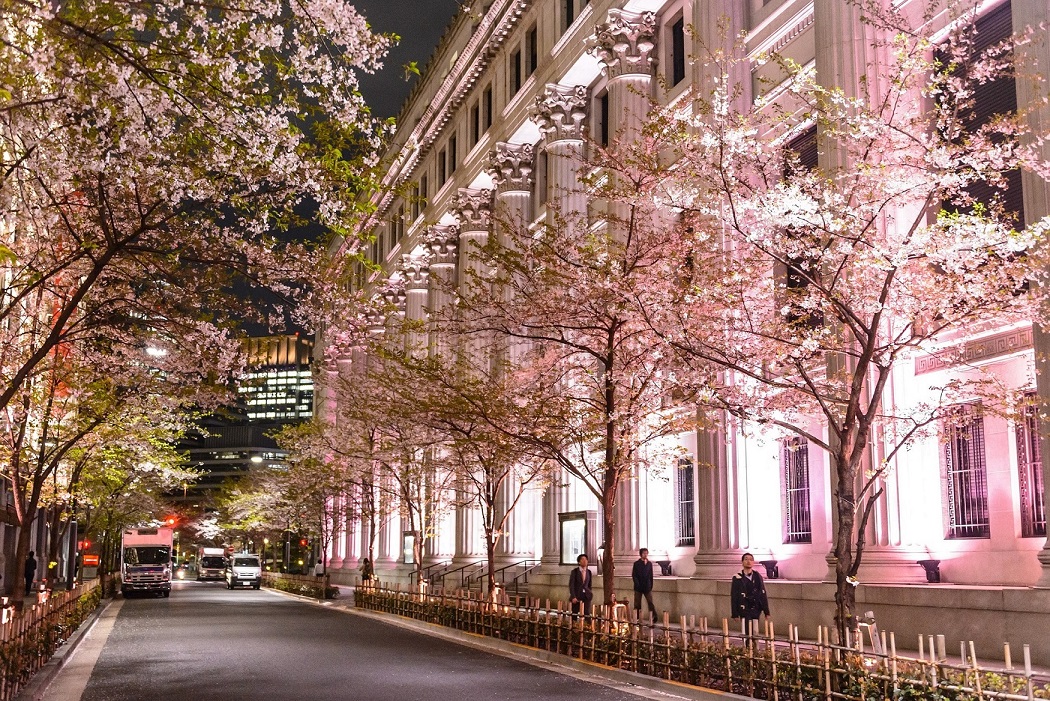 「三井本館」ライトアップ （イメージ）