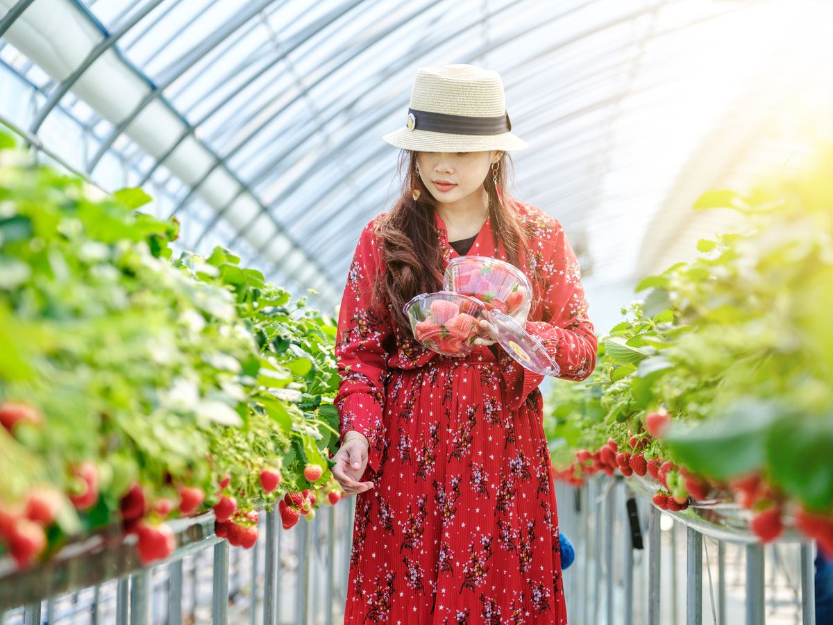 Chalamkhav / Shutterstock