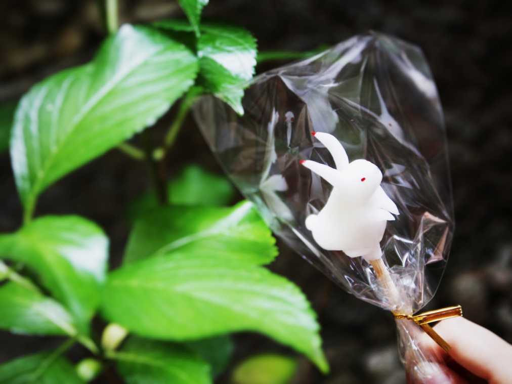 こんな女子会初めて! 友情がより深まっちゃう飴細工作り体験