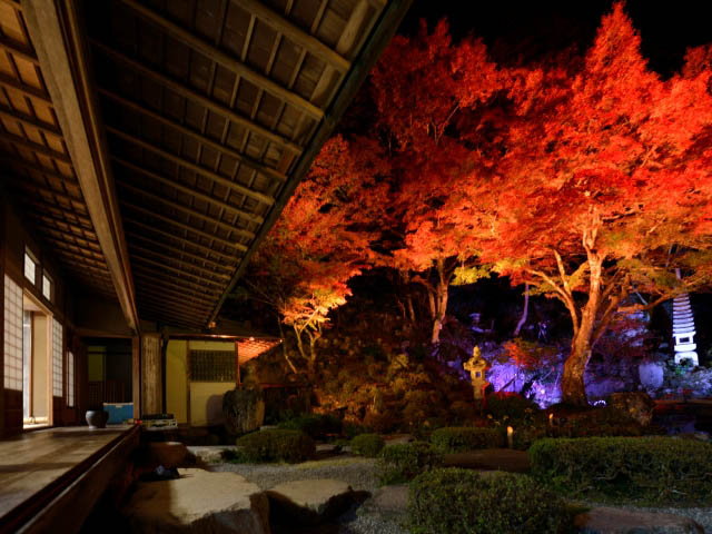 津和野町教育委員会