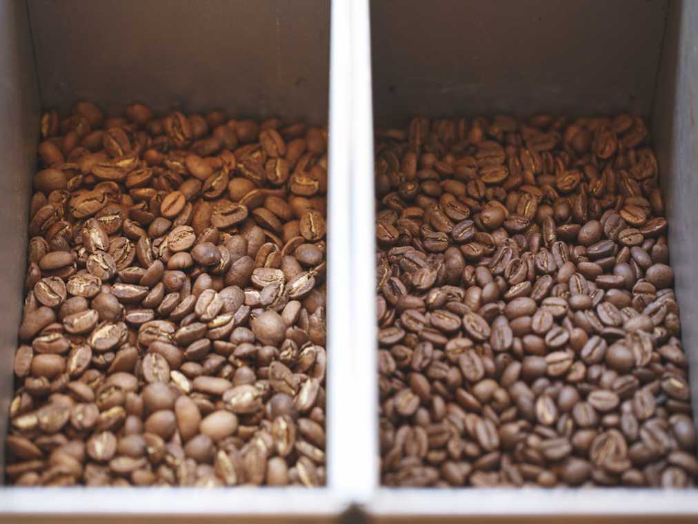 左が浅煎りのニカラグア、右が深煎りのタンザニア