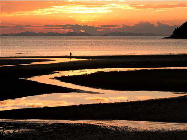 三豊市観光交流局