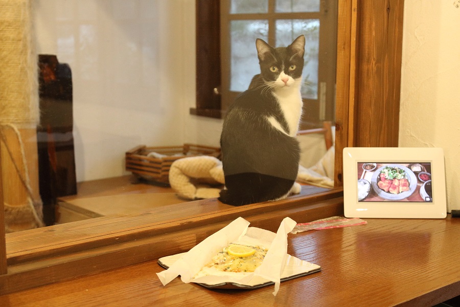 美人さんの、ふたばちゃん