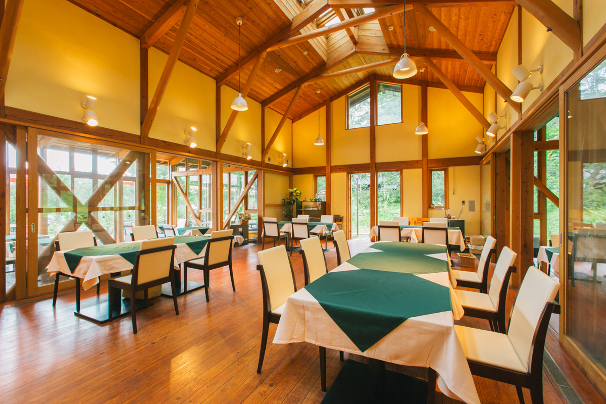 大きな窓や天窓からのぞく豊かな自然が開放感を演出