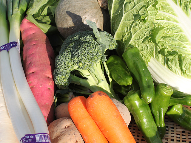 その甘さは感動モノ! 朝どれ野菜