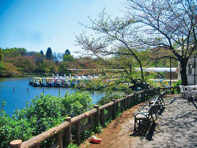 行列のできる吉祥寺の人気グルメスポットで食べまくりプラン