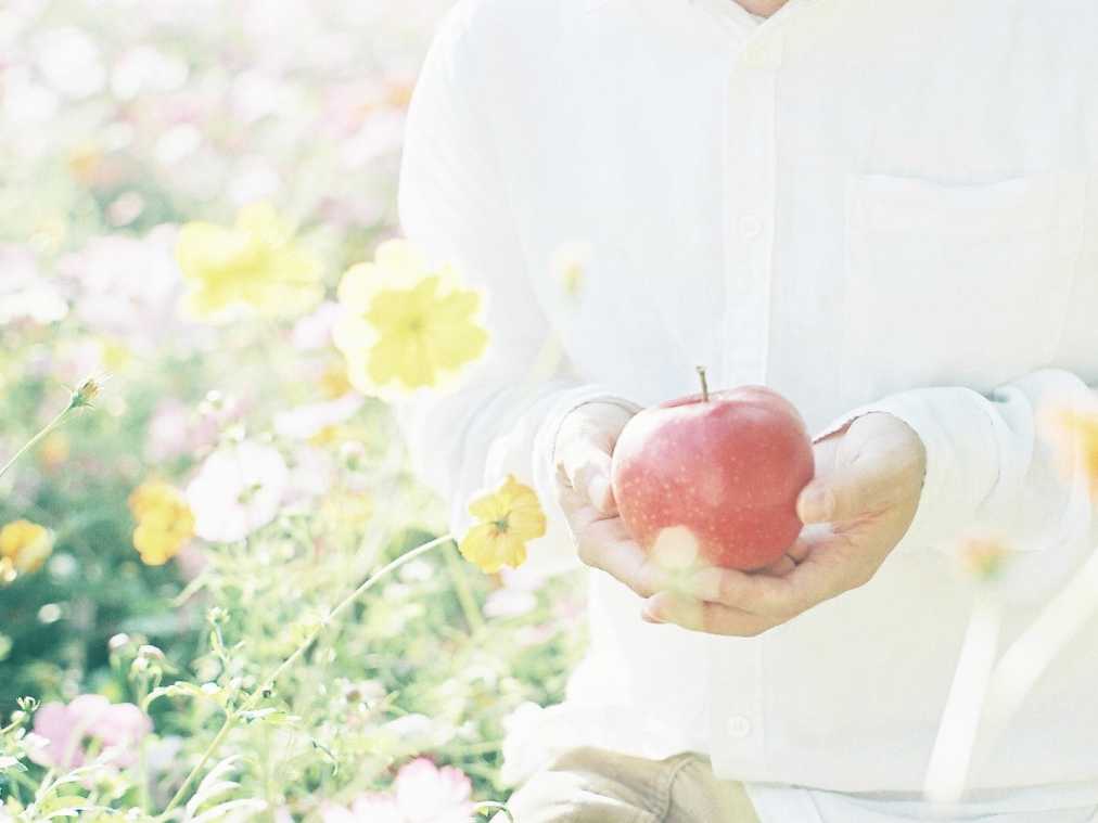 【もろんのんがフォトグラファー目線で切り取る景色vol.6】関西のコスモス編