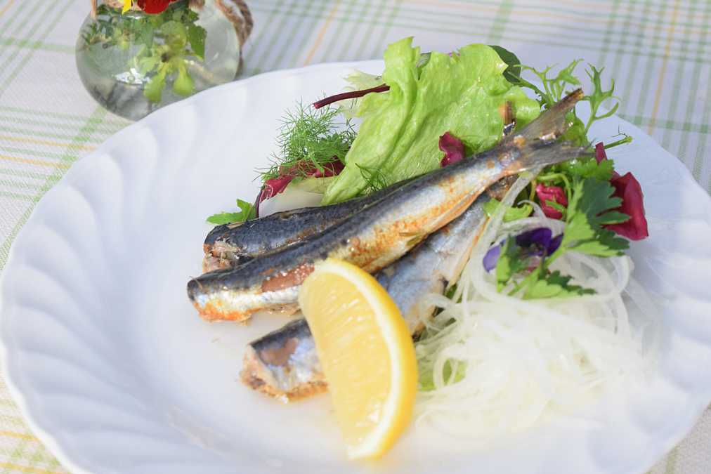 イワシのオイルサーディン（648円）