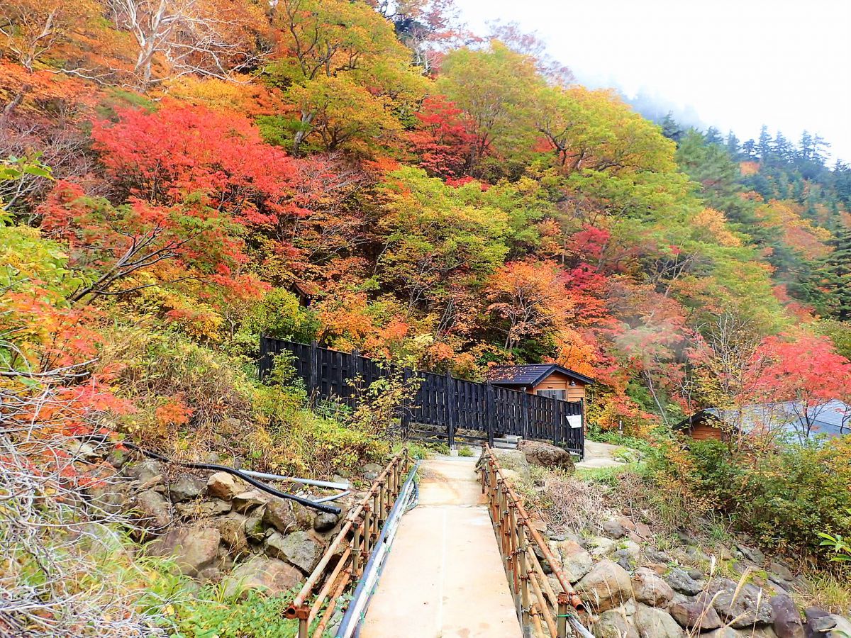 秋だけの贅沢！紅葉観賞と温泉をセットで楽しめる！おすすめ紅葉温泉【温泉家・北出恭子のお悩み解決温泉vol.16】