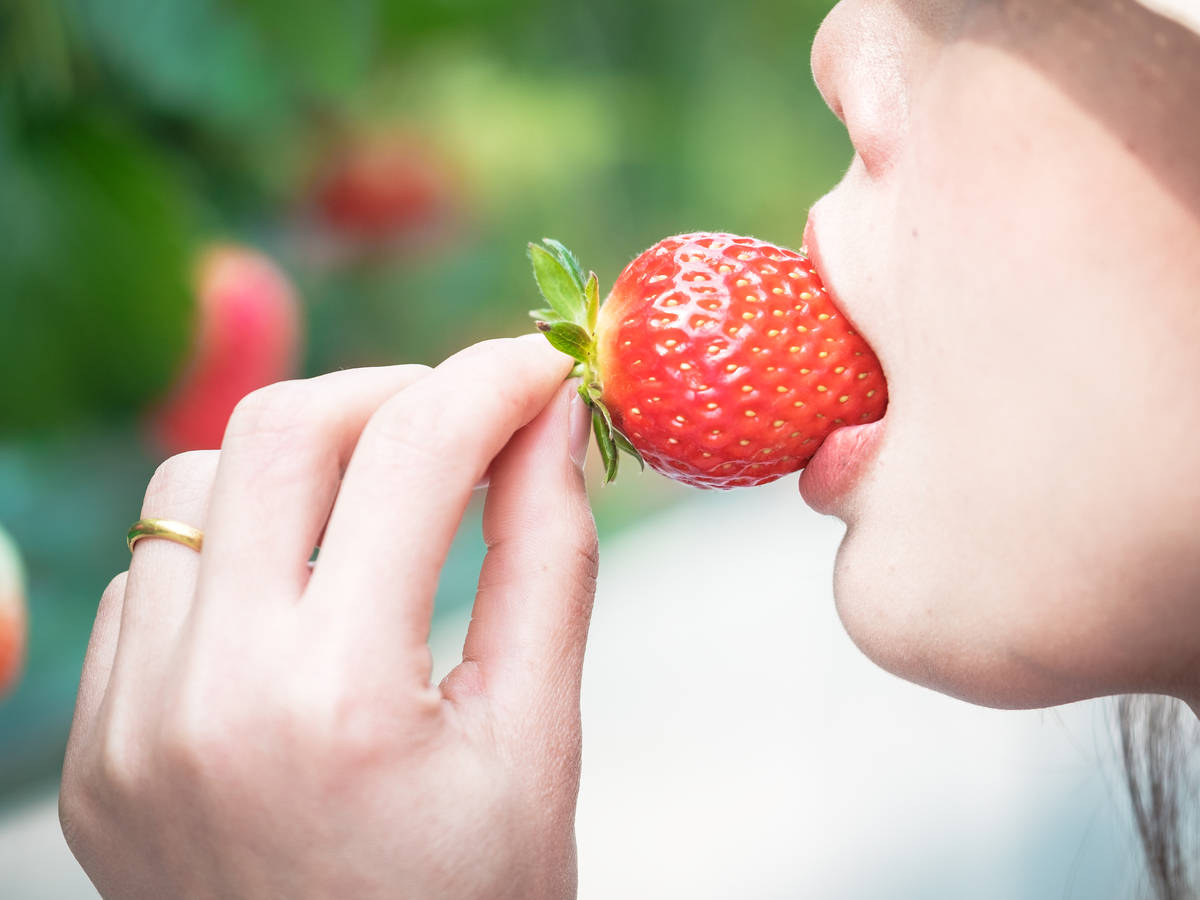 Chalamkhav / Shutterstock