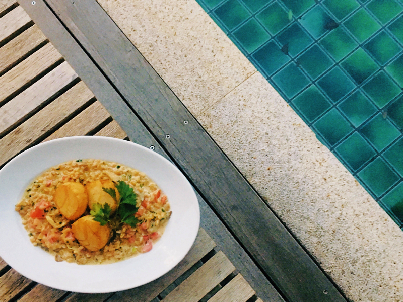 オトナ女子必訪の名レストラン！表参道で楽しむ洗練された空間とサービス