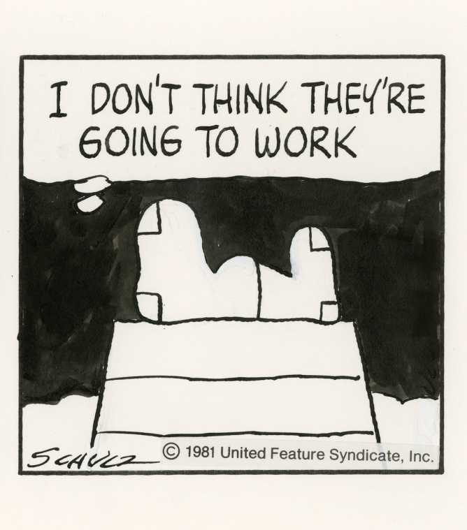 (c) Peanuts Worldwide LLC