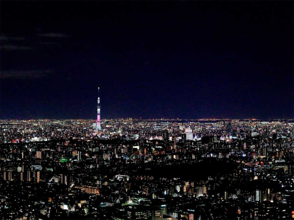 展望台で“お泊り女子会”!?「オトナ女子の夜ふかし展望台」開催