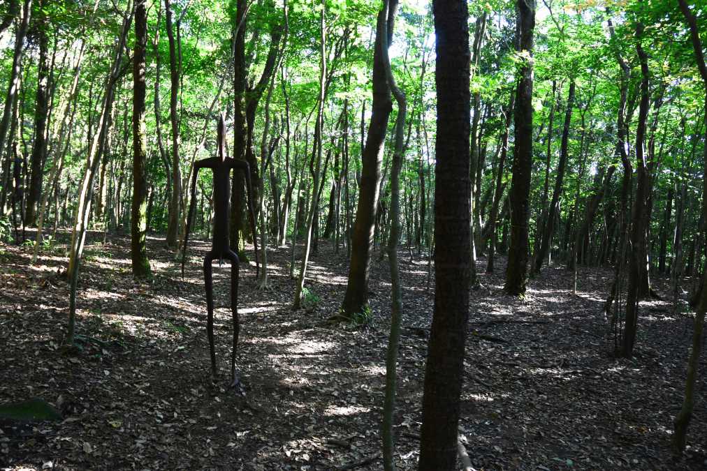 アントニー・ゴームリー＜インサイダー＞