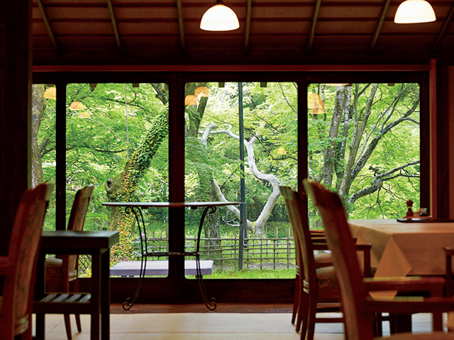 すてきショップやカフェがいっぱい！あこがれの温泉リゾート・湯布院で和み旅