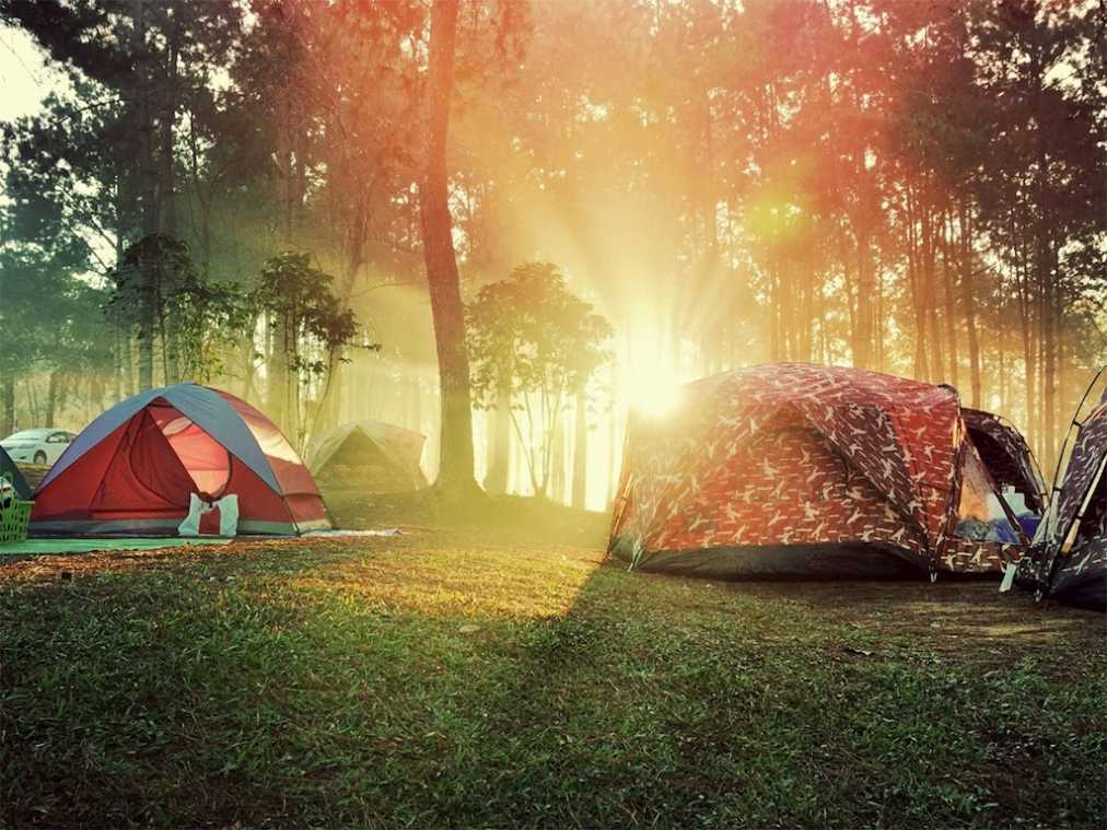 箱根の美術館でキャンプ体験！『FOREST MUSEUM 2018』開催