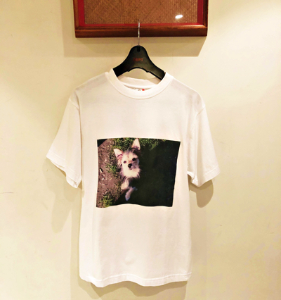 「白Tシャツ」4860円