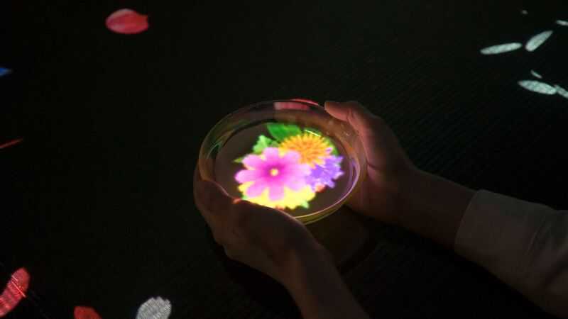 小さきものの中にある無限の宇宙に咲く花々/ Flowers Bloom in an Infinite Universe inside a Teacup  teamLab, 2016, Interactive Digital Installation, Endless, Sound: Hideaki Takahashi 